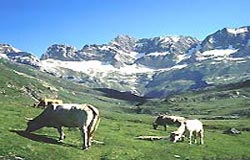The Parc National des Pyrenees