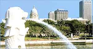Uniquely Singapore !